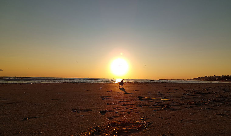 Eko turizmin gözdesi Samsun