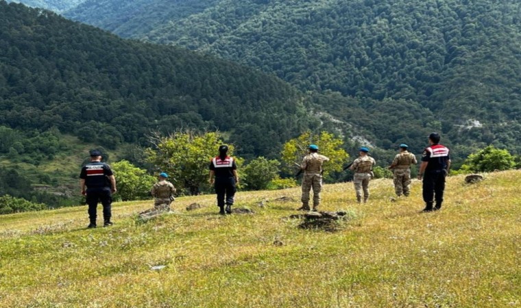 Jandarma orman yangınlarına karşı teyakkuzda