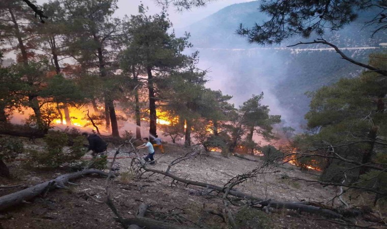 Ormana düşen yıldırım yangın çıkardı