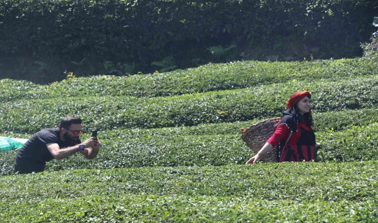 Rize’deki çay bahçesi baklava görünümlü hali ile turistlerin ilgisini çekiyor