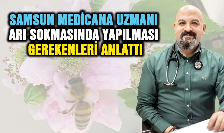 Samsun Medicana Uzmanı Arı Sokmasında Yapılması Gerekenleri Anlattı