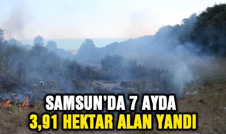 Samsun'da 7 ayda 3,91 hektar alan yandı