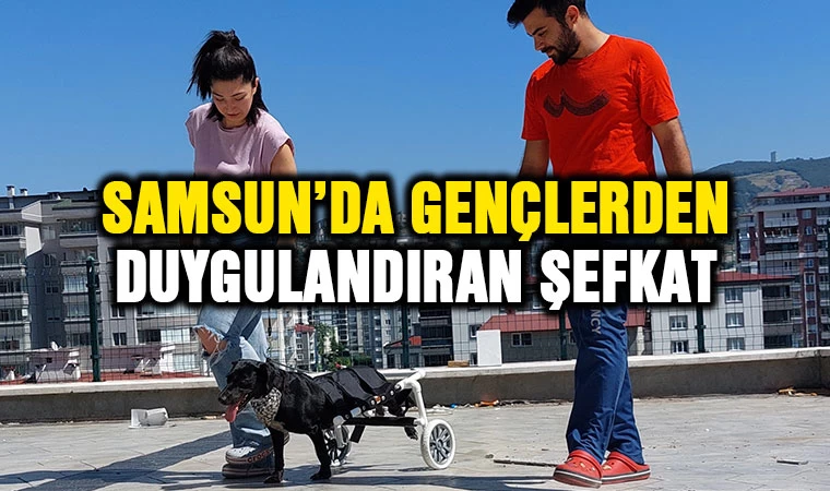 Samsun'da gençlerden duygulandıran şefkat