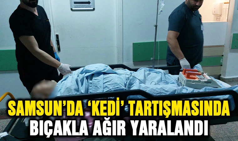 Samsun'da 'Kedi' tartışmasında bıçakla ağır yaralandı