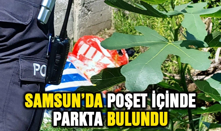 Samsun'da poşet içinde parkta bulundu