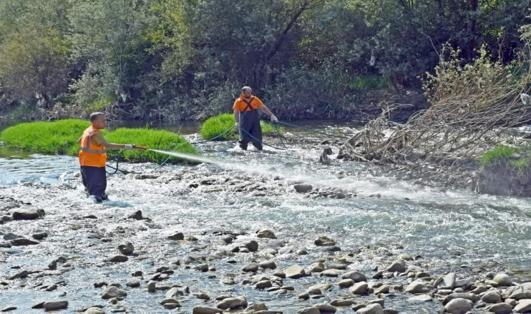 Karabük’te artan sivrisineklere karşı ilaçlama yapılıyor