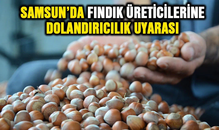 Samsun'da fındık üreticilerine ‘dolandırıcılık’ uyarısı