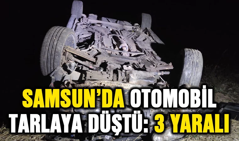 Samsun’da otomobil tarlaya düştü: 3 yaralı