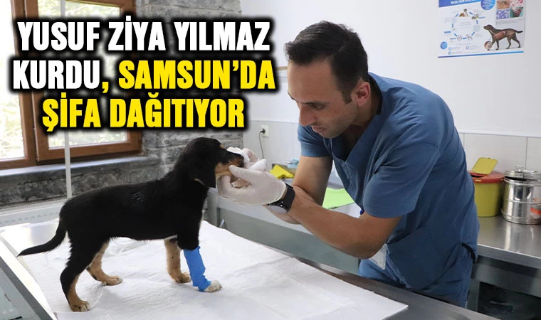 Yusuf Ziya Yılmaz kurdu, Samsun'da şifa dağıtıyor