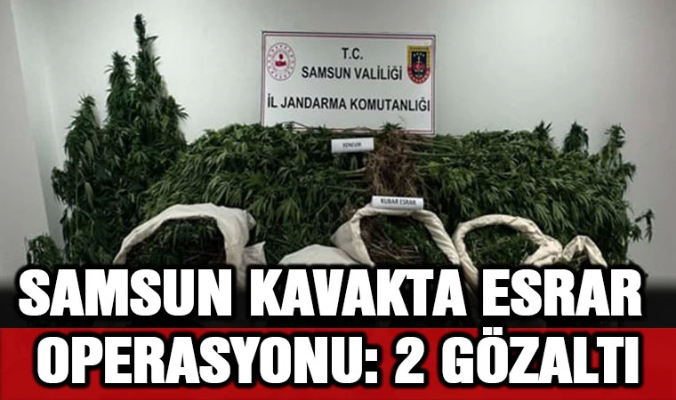 Samsun Kavak'ta esrar operasyonu: 2 gözaltı