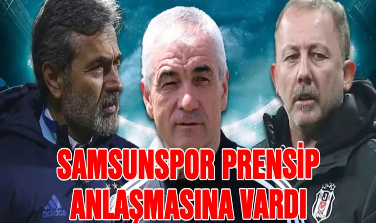 Samsunspor prensip anlaşmasına vardı