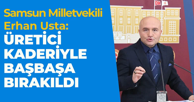 Samsun Milletvekili Erhan Usta: Üretici Kaderiyle Baş Başa Bırakıldı