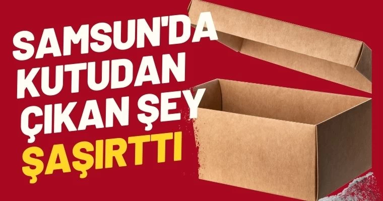 Samsun'da kutudan çıkan şey şaşırttı