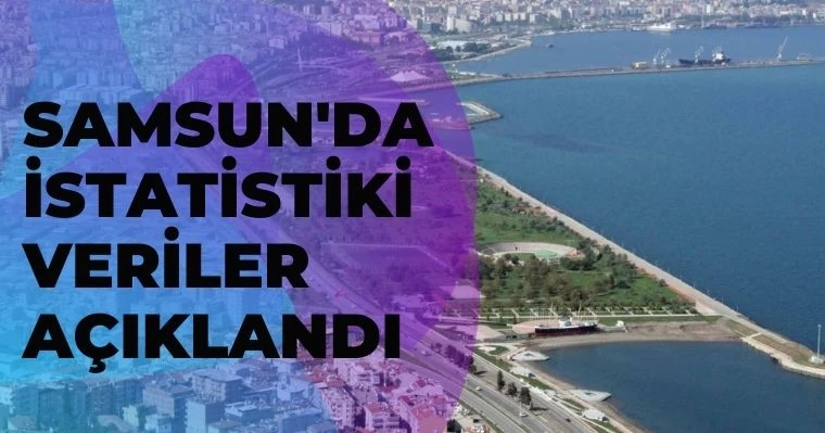 Samsun'da istatistiki veriler açıklandı