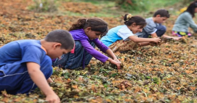 Yoksulluk çocukları çalışmaya zorluyor