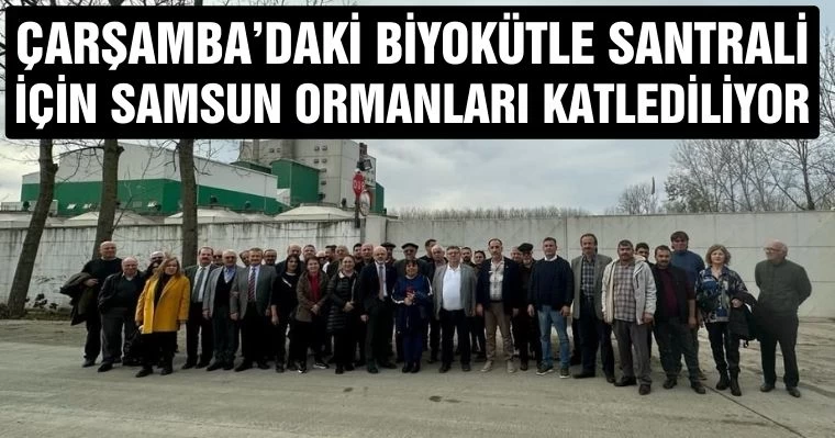 Çarşamba'daki Biyokütle Santrali İçin Samsun Ormanları Katlediliyor