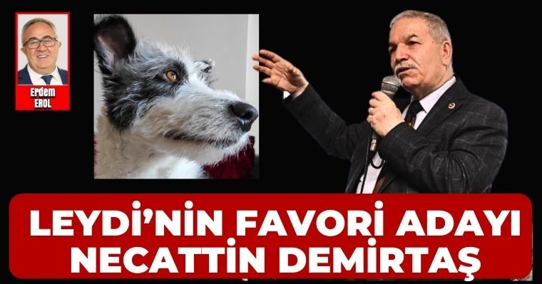 Leydi'nin Favori Adayı Necattin Demirtaş