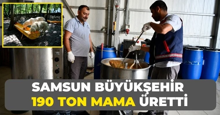 Samsun Büyükşehir  190 ton mama üretti