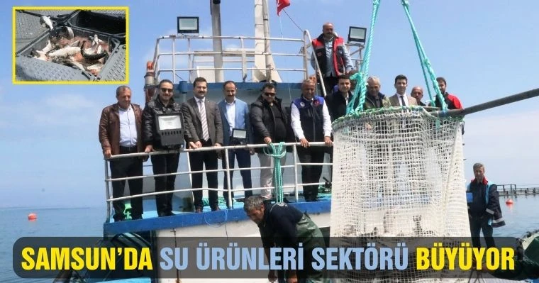 Samsun’da Su Ürünleri Sektörü Büyüyor