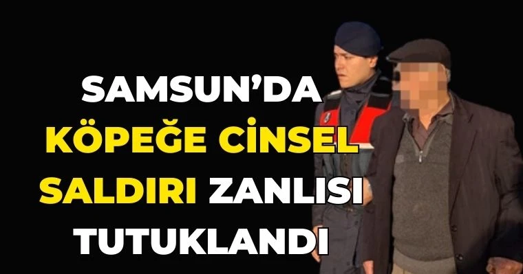 Samsun’da Köpeğe Cinsel Saldırı Zanlısı Tutuklandı