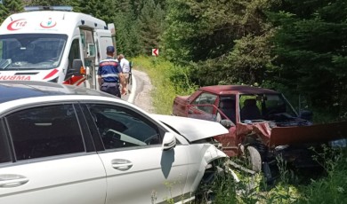 Bolu’da ormanda çilek toplamak için park edilen araç kazaya sebep oldu: 2 yaralı