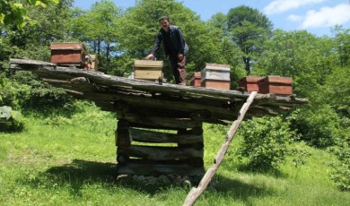 Giresun’da yüzyıllık arı çardakları tescillendi