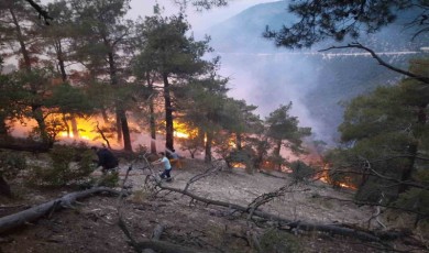 Ormana düşen yıldırım yangın çıkardı