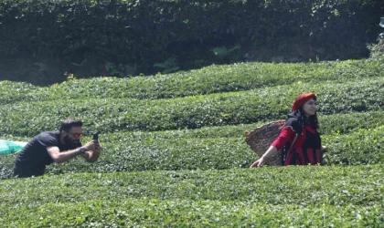 Rize’deki çay bahçesi baklava görünümlü hali ile turistlerin ilgisini çekiyor