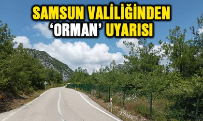 Samsun Valiliği’nden 'orman' uyarısı