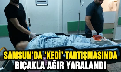 Samsun'da 'Kedi' tartışmasında bıçakla ağır yaralandı