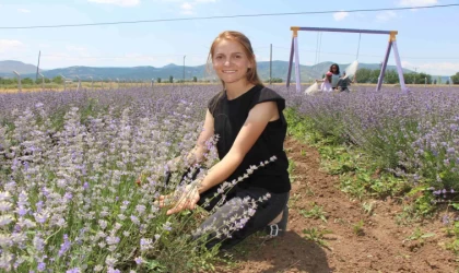 ‘Süpürge mi dikiyorsun?’ diyenlere inat lavanta yetiştirdi