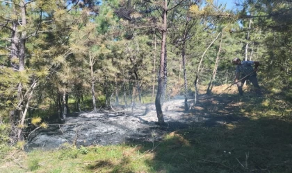 Taşköprü ve Tosya’da çıkan orman yangınları büyümeden söndürüldü