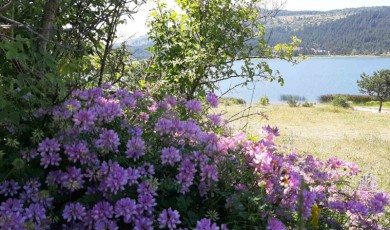 Türkiye sıcaktan kavruluyor, Bolu en soğuk il oldu