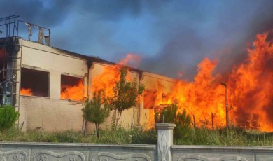 Ahşap kapı fabrikası alevlere teslim oldu