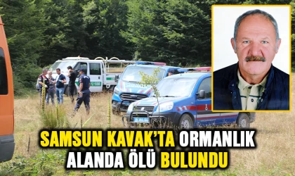 Samsun Kavak'ta ormanlık alanda ölü bulundu