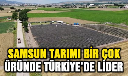 Samsun tarımı bir çok üründe Türkiye'de lider