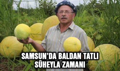 Samsun'da baldan tatlı Süheyla zamanı