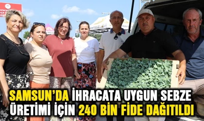 Samsun'da ihracata uygun sebze üretimi için 240 bin fide dağıtıldı