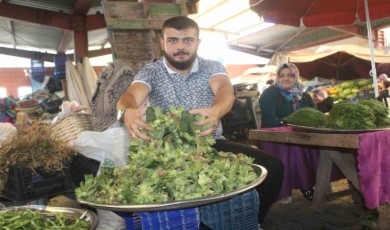 Toplanan taze fındıklar semt pazarlarındaki tezgahlarda yerini almaya başladı