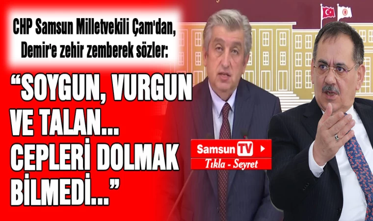 CHP Samsun Milletvekili Çam'dan, Demir'e zehir zemberek sözler